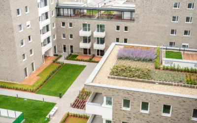 Zöldtetők előnyei a modern építészetben – fenntarthatóság és esztétika kéz a kézben