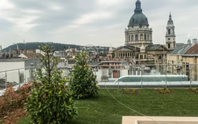 Extenzív vagy intenzív zöldtető? – Útmutató a megfelelő tetőkert kiválasztásához