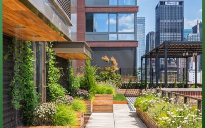 Zöldtetők és Energiahatékonyság: Hogyan Csökkentik a Rezsiköltségeket az Ozin System Megoldásai