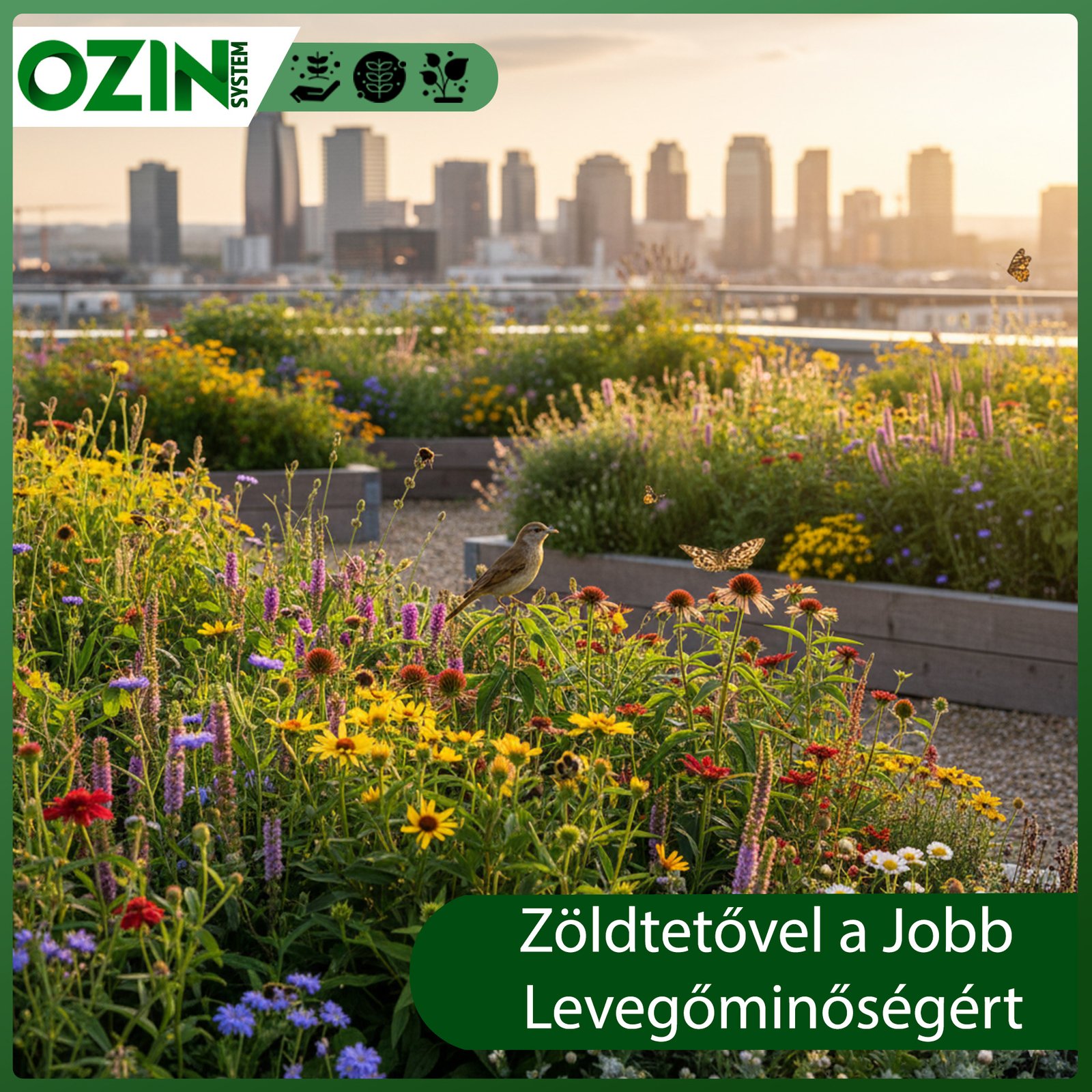 zöldtető levegőminőség javítása zöldtető levegőminőség javítása